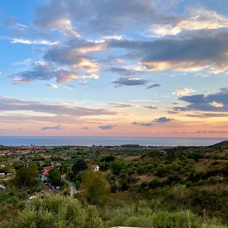 Viuccio * アシェーア