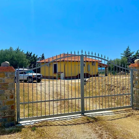 Viuccio *