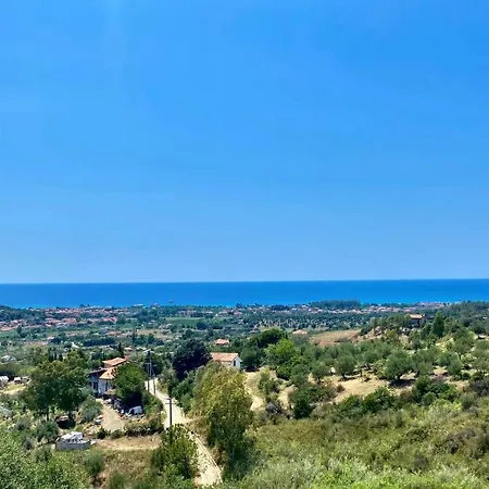 Viuccio
